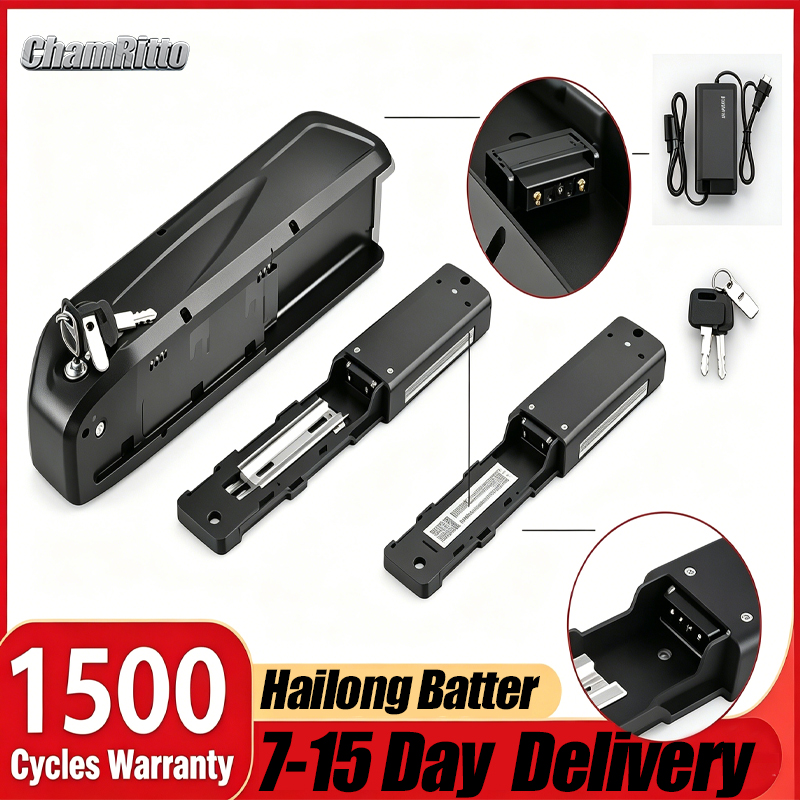 36V 48v 52v Electric Bicycle H - Ebike Battery 48V 20Ah Hailong 评论和价格